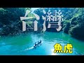 台灣魚虎!其實我水漂都是打100次成1次啦~
