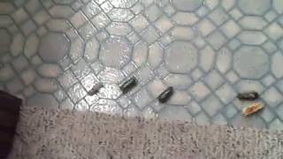 hexbug nano swarm