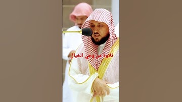 الشيخ ماهر المعيقلي تلاوة من وحي الخيال سورة التوبة 😴😴