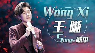 从《亲密爱人》开始听王晰Wang Xi 2小时精选歌单！| 中国音乐电视 Music TV