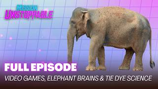 Video Games, Elephant Memory & Tie Dye Science | FULL EPISODE | S4 screenshot 3