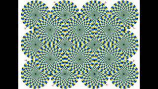 Weirdest Thing You Will Ever See... Guaranteed!
Not fake, pause the video and it will still happen. AARGH MY BRAINS! Weirdest Thing You Will Ever See... Guaranteed!