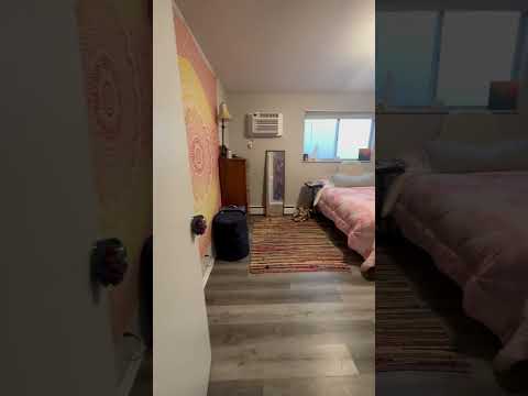 115 W 2nd Street, Bloomington, IN home video tour