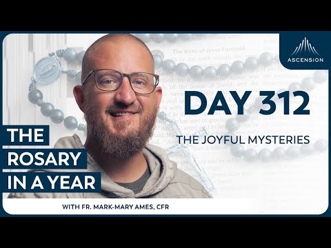 Day 312: The Joyful Mysteries — The Rosary in a Year (with Fr. Mark-Mary Ames)