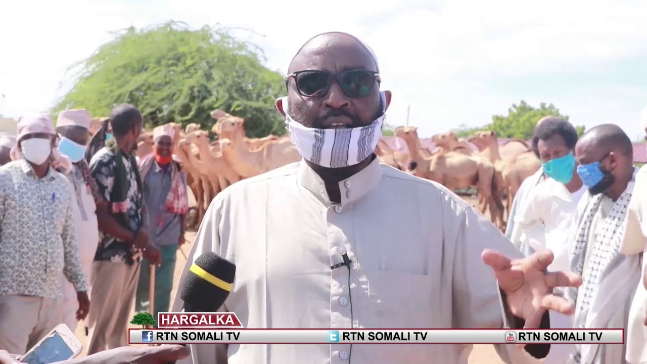 Garissa Iibinta oo Geela loo sameeyay Maalin Gaar ah.