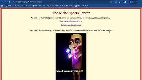 CMSC 335 Final Project Demo (Niche)
