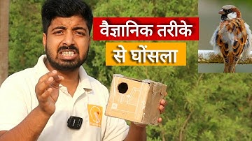 Sparrow nest making idea at home. #sparrow #birdlovers #nestmaking #bird #birdrescue