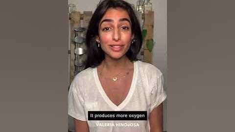 Stop Deep-Sea Mining!