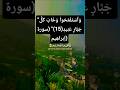 تلاوة خاشعة بصوت يريح النفس #تلاوة #elmulquranعلم #aslam #duet #المصحف #trend #قران_كريم #اكسبلور
