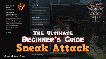 The Ultimate Beginner