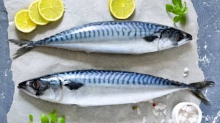 فوائد سمك الماكريل .. القيمة الغذائية لسمك الماكريل