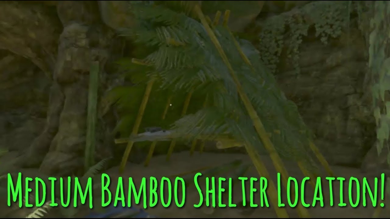 Where Did The Medium Bamboo Shelter Go? Green Hell YouTube