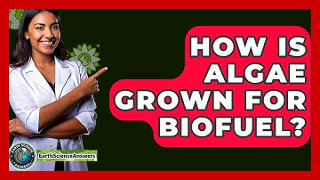 How Is Algae Grown For Biofuel? - Earth Science Answers