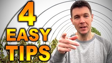 Transplanting a Tree |  HOW TO Transplant any Plant with 4 Easy Tips