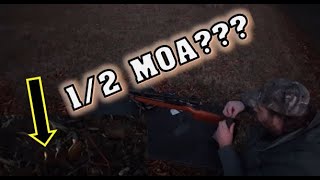 Factory Ruger 10/22 1/2 MOA - 75yd CRAZY ACCURATE!!!