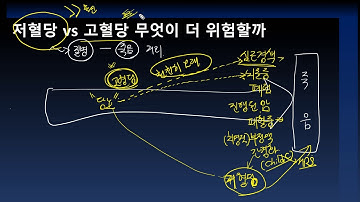 저혈당 vs 고혈당, 무엇이 위험할까