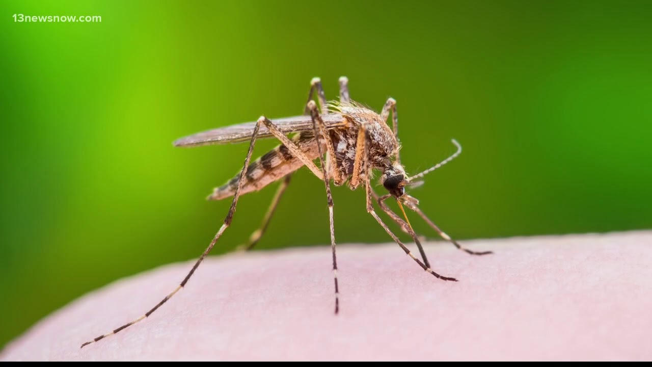 Area mosquitoes test positive for West Nile
