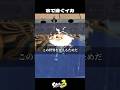 イカが水で泳げない理由【スプラトゥーン3/Splatoon3】