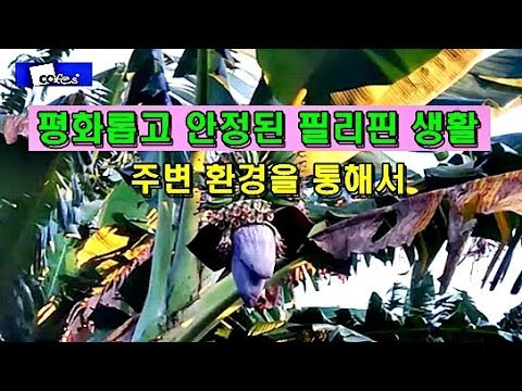 평화롭고 안정된 <strong>필리핀</strong> <strong>생활</strong>