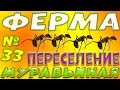 Как переселить муравьев в новую ферму или инкубатор