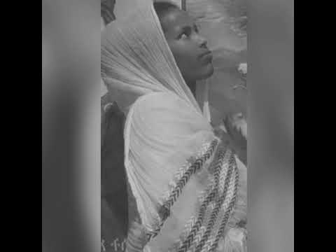 Faruu Gabbii Maloo Na Yadadhuu Dinnii Na Dhiphisee