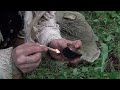 End of video