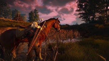 The Witcher 3: Geralt and Roach / Next Gen/Ray Tracing