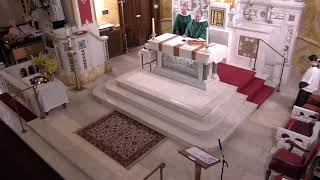 Sunday Mass9:30 - 7/14/24