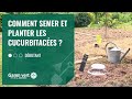 [TUTO] Comment semer et planter les cucurbitacées ? – Jardinerie Gamm vert