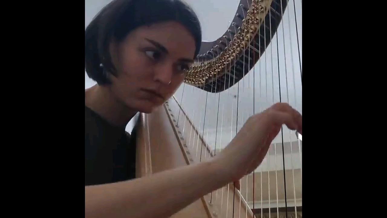 do-you-get-goosebumps-j-s-bach-toccata-and-fugue-in-d-minor