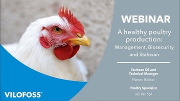 WEBINAR: A healthy poultry production - Management, Biosecurity and Stalosan