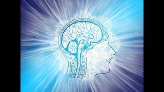 The Power and Beauty of the Brain with Dr. Jill Bolte Taylor and Dr. Sue Morter