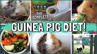 How to Feed the Best and Healthiest Guinea Pig Diet!