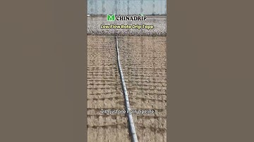 The drip tape by Chinadrip for 600 meters length layout in #wheat #field #irrigation. #FPV views.