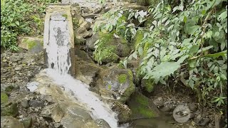 Una familia utilizo la hidroenergía para poder adquirir sus servicios básicos -La Finca De Hoy