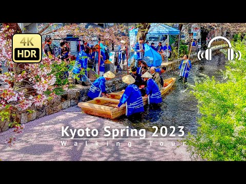 Kyoto Spring 2023 Walking Tour - Kyoto Japan [4K/HDR/Binaural]