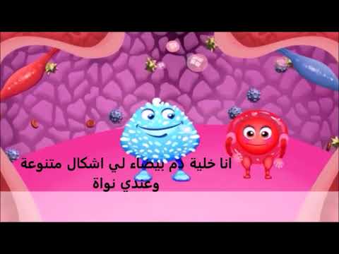 مكونات الدم