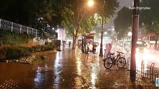 Walking in the Heavy Rain at Night Wets Your Soul. Relaxing Sound ASMR White Noise. 😌 screenshot 5
