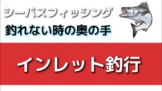 シーバスが釣れないときの奥の手がこの技だ Youtube