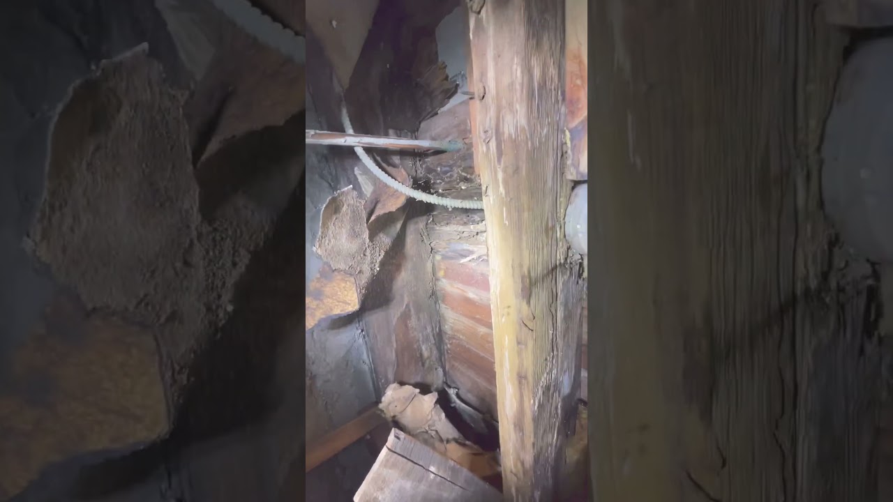 Crawlspace inspections! 