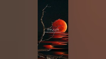 وكان الله غفورا رحيما ومن تاب وعمل صالحا فإنه يتوب إلى الله متابا🌿 قرآن كريم 🌿القارئ ايبي إدريس