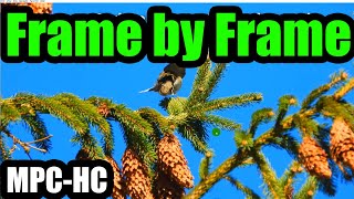 Watch video Frame by Frame (MPC-HC)