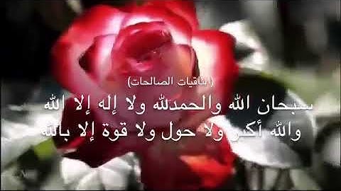 تلاوة خاشعة جميلة / طبيعة وطيور(سبحان الله وبحمده سبحان الله العظيم )
