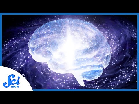 How Does Space Change Your Brain?