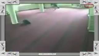 Download Lagu Taat itu Nikmat (Video Cover) Official by Ustadz Derry Sulaiman MP3