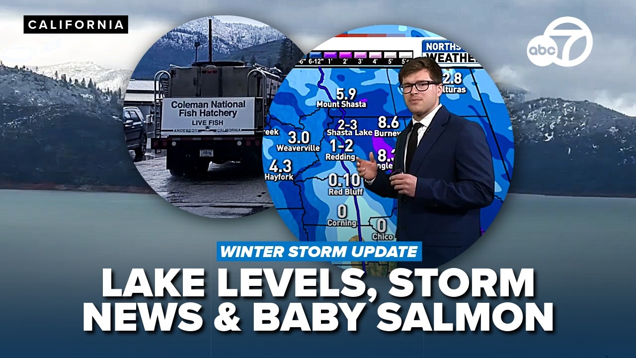 Winter storm update, Shasta Lake water update and thousands of salmon released