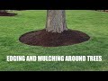 EDGING and MULCHING around TREES - How to get a CLEAN LOOK