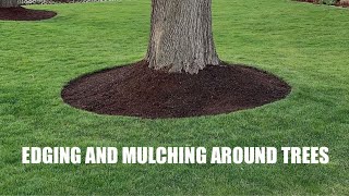 EDGING and MULCHING around TREES  How to get a CLEAN LOOK