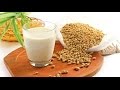 How to make SOY MILK at home very EASY