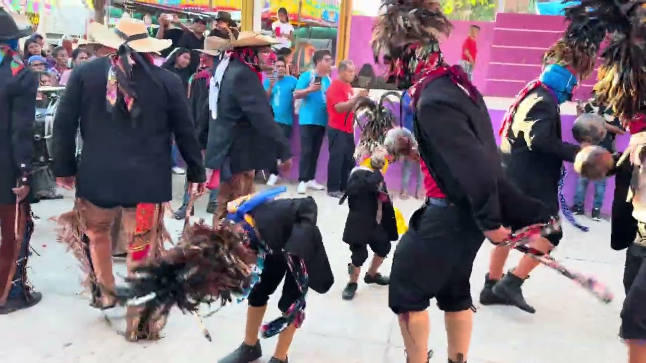 Danza de Los Tejorones de Pinotepa de Don Luis, Oaxaca. Feria Anual 2026 | Encuentro de danzas.